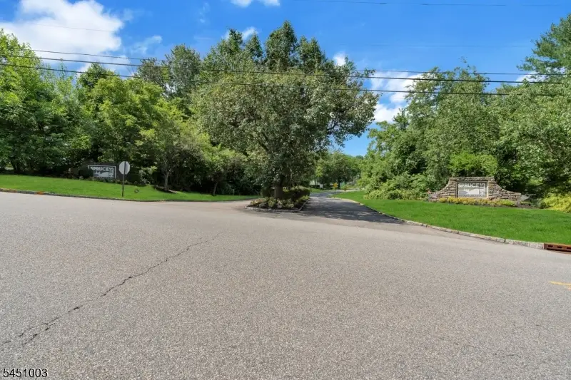 903 Spruce Hills Dr, Glen Gardner, NJ 08826 - #1