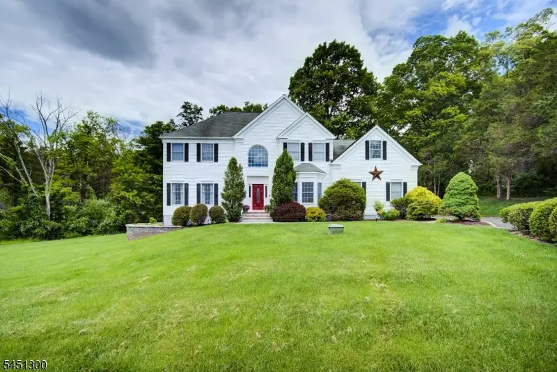 16 Ramshorn Rd, Alexandria, NJ 08848 - #1