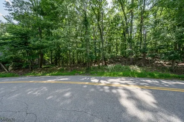 782 Brooklyn Mountain Rd, Hopatcong Boro, NJ 07843