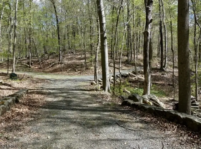 66 Rippling Brook Way, Bernardsville, NJ 07924 - #3