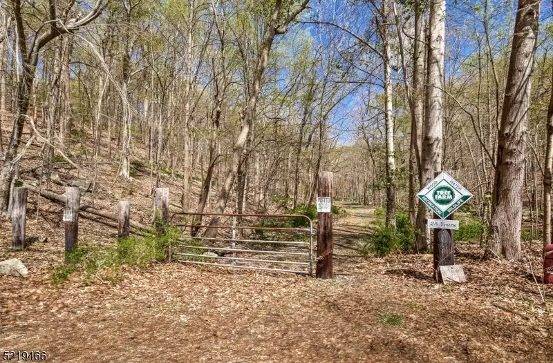 60 Rippling Brook Way, Bernardsville, NJ 07924 - #2
