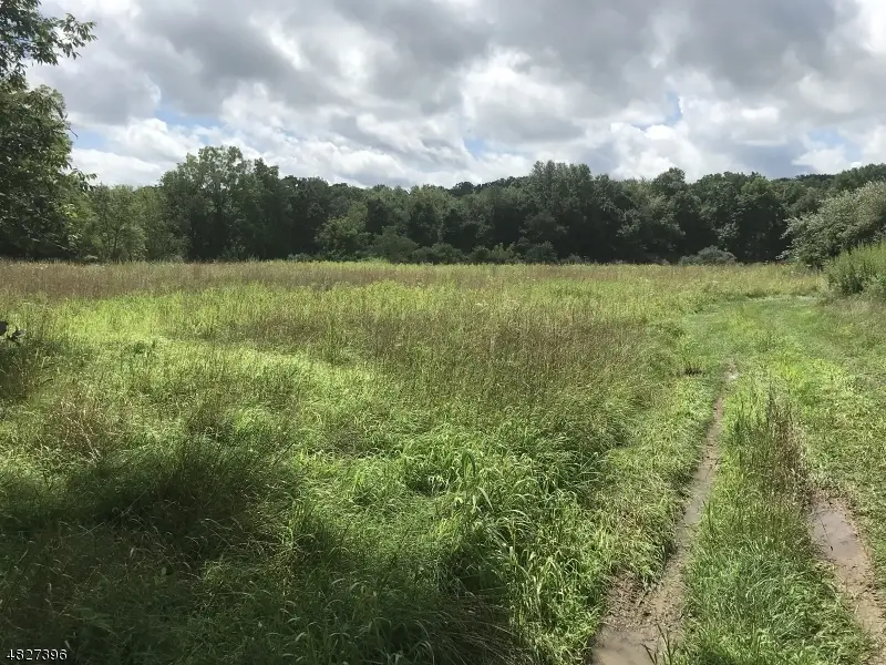 160 Newton Sparta Rd, Andover, NJ 07860 - #1