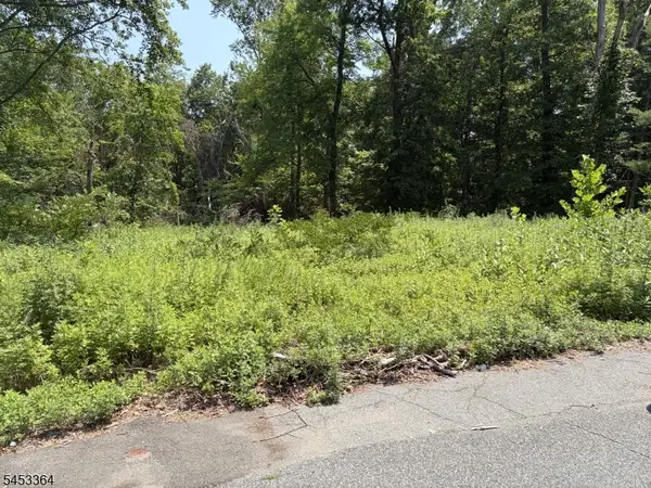 125 Ferri St, Wayne Twp., NJ 07470
