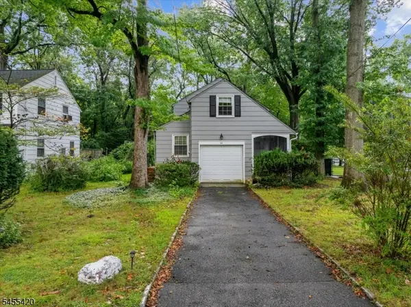 56 Denham Rd, Springfield Twp., NJ 07081