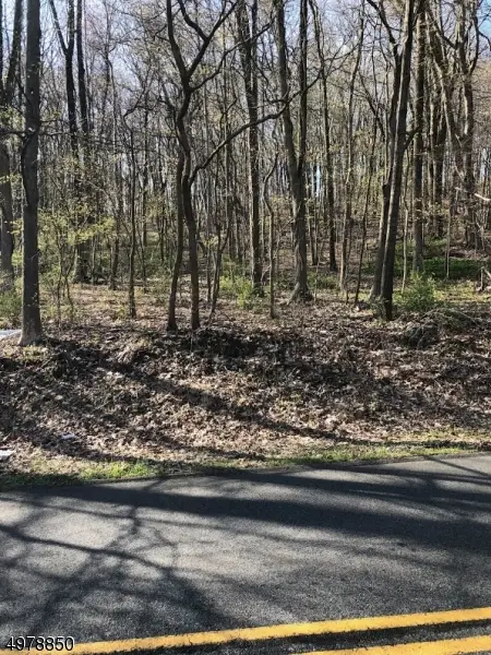 39 Russling Rd, Independence Twp., NJ 07840