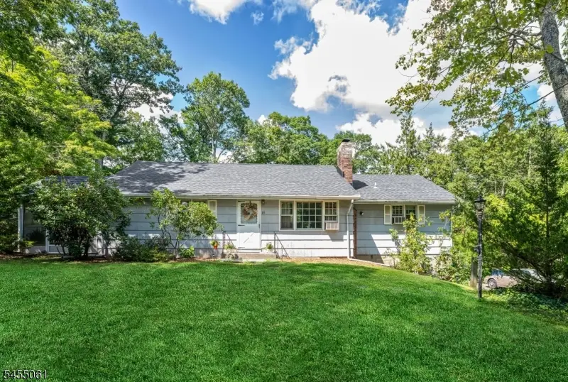 115 Riverwood Ave, Bedminster, NJ 07921 - #1