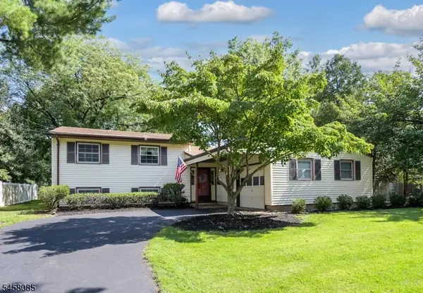 21 Heinrich Rd, Franklin Twp., NJ 08873
