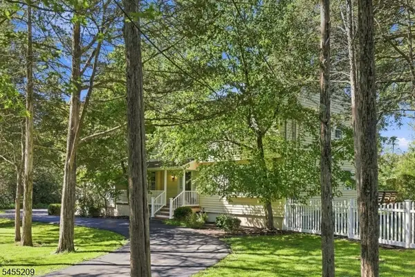 20 Preston Ter, Bedminster Twp., NJ 07921