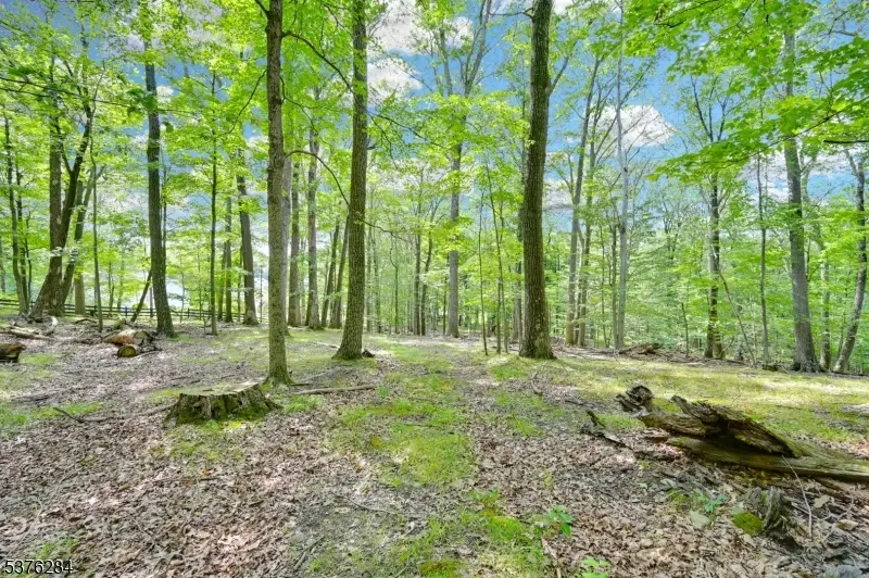 51 Paulinskill Lake Rd, Fredon, NJ 07860 - #1