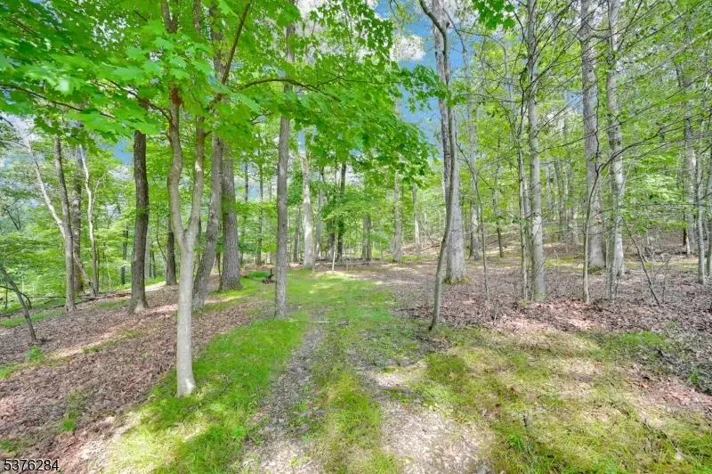 51 Paulinskill Lake Rd, Fredon, NJ 07860 - #3