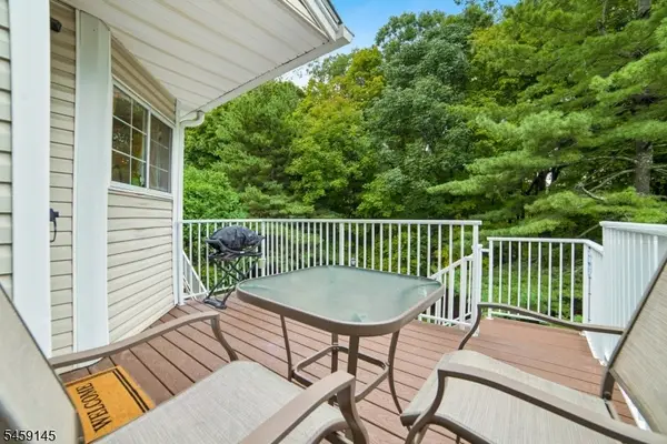 20 Encampment Drive, Bedminster Twp., NJ 07921