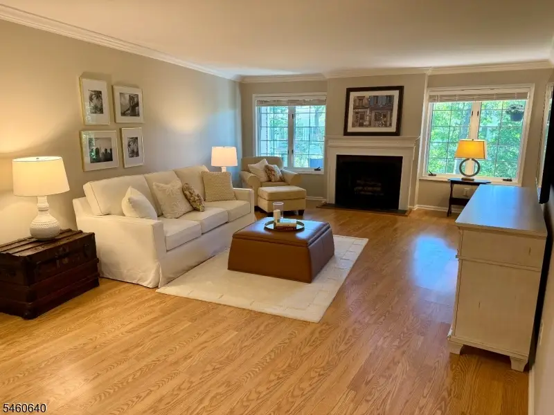 163 Terrace Dr, Chatham, NJ 07928 - #1