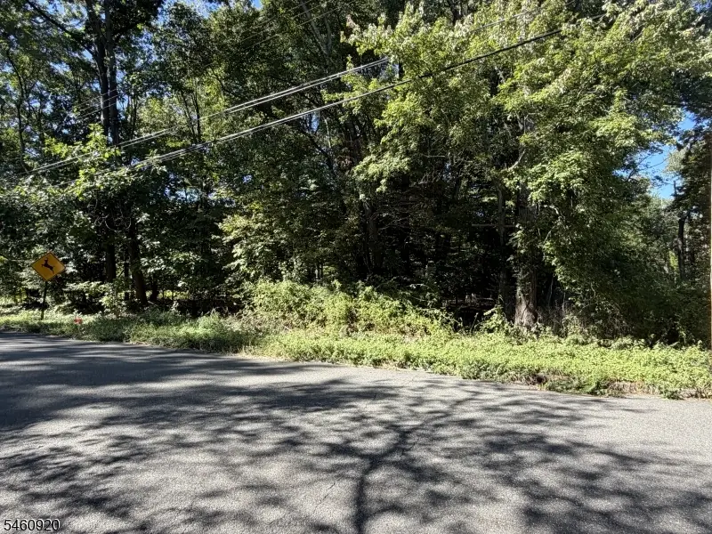 74 Preston Rd, Troy Hills, NJ 07054 - #2