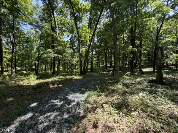 24 Shagbark Ln, Readington Twp., NJ 08889