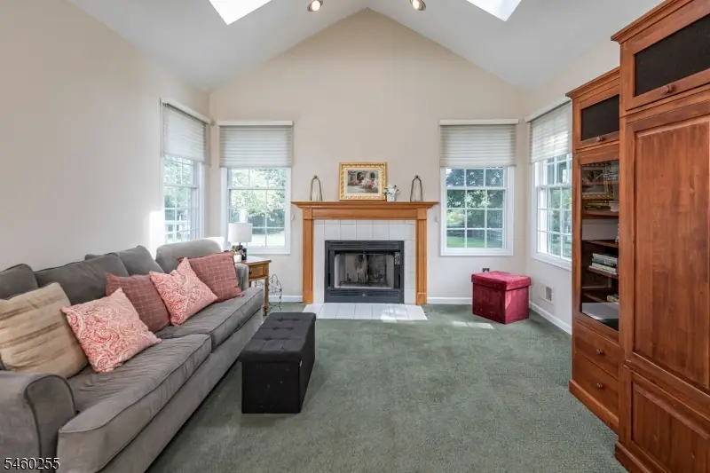 163 Matthews Farm Rd, Montgomery, NJ 08502 - #3