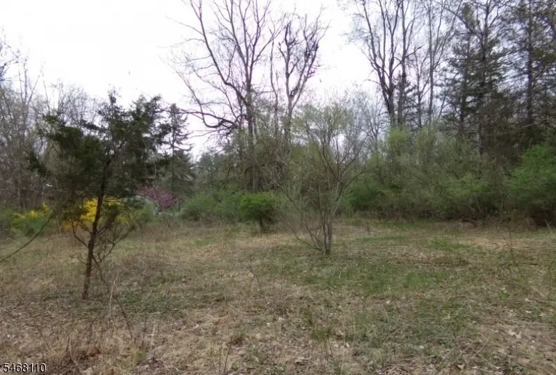 8 Hill Rd, Montague, NJ 07827 - #3