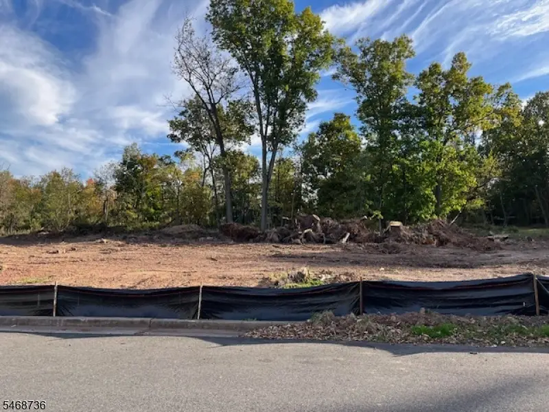 205 Charlotte Ave, South Bound Brook, NJ 08880 - #1