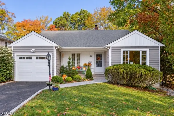 58 Grant Ave, New Providence Boro, NJ 07974