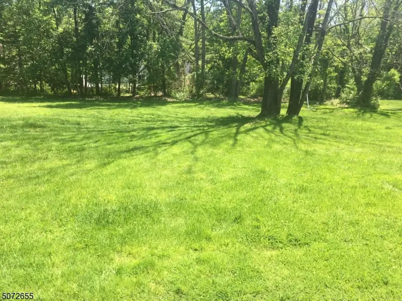 424 White Oak Ridge Rd, Millburn, NJ 07078 - #3