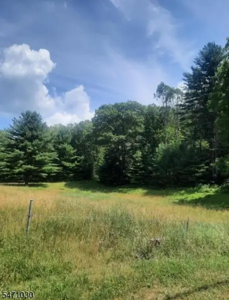 37 New Mashipacong Rd, Montague, NJ 07827 - #3