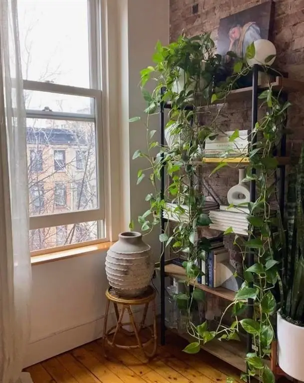 229 3RD ST #301, Jersey City, NJ 07302 - Image #3