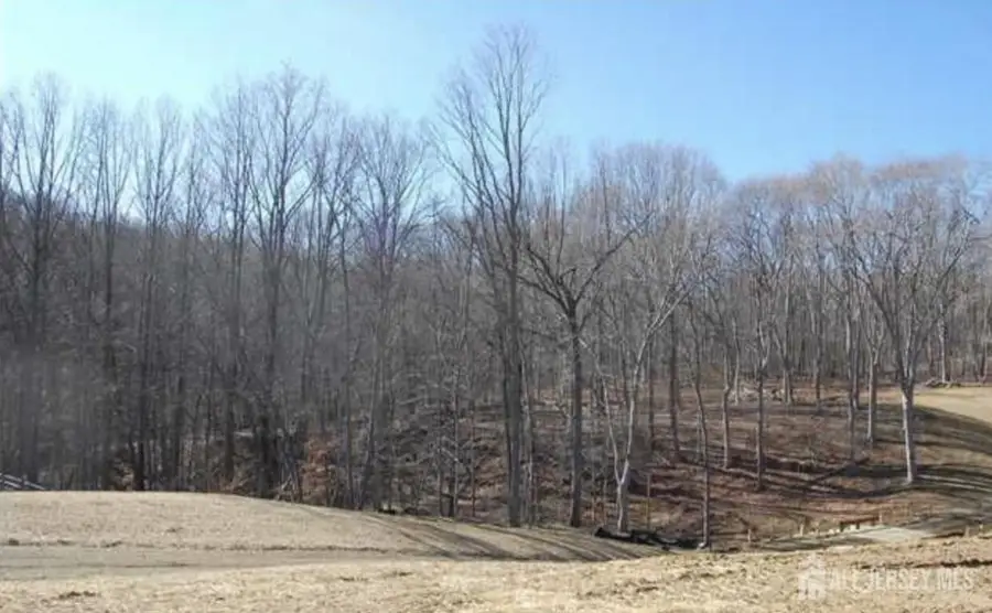 -213 Walnut Drive, Morganville, NJ 07751 - Image #2