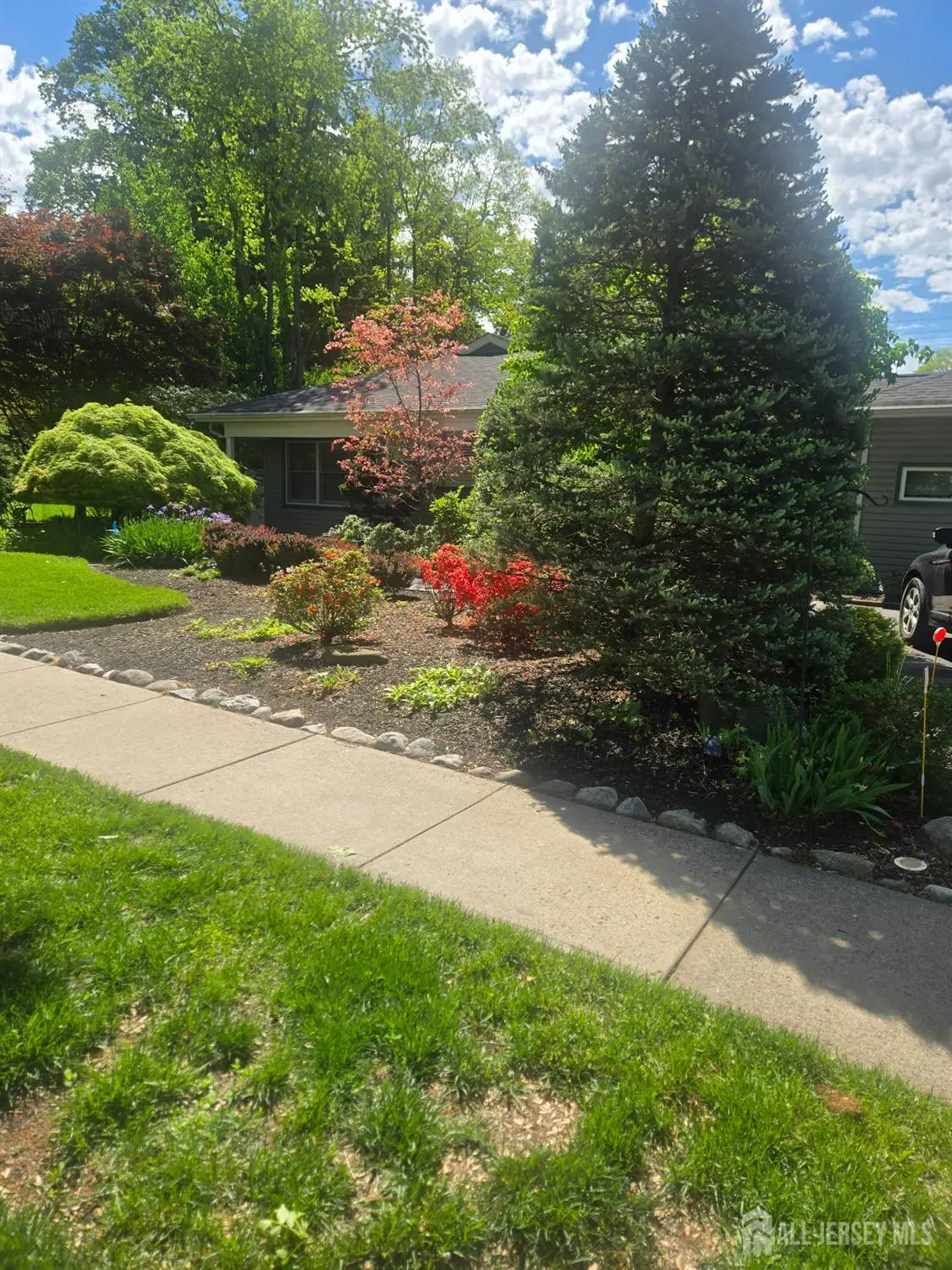 -124 Hillside Avenue, Metuchen, NJ 08840 - #1