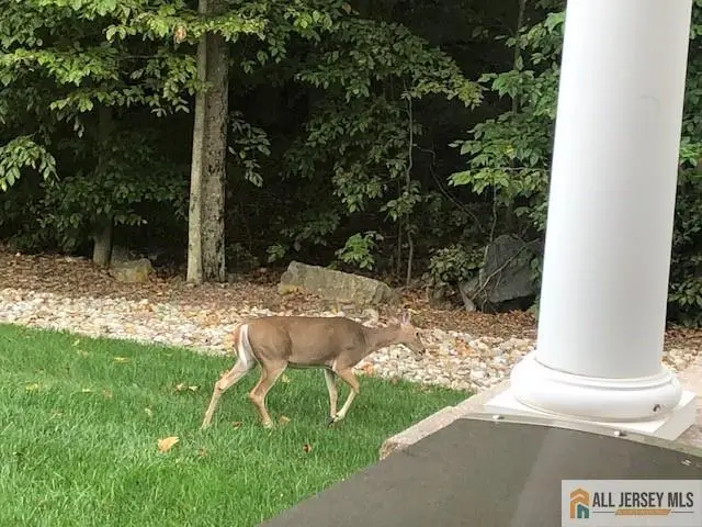 -38 Edgemere Drive, Heathcote, NJ 08824 - #3