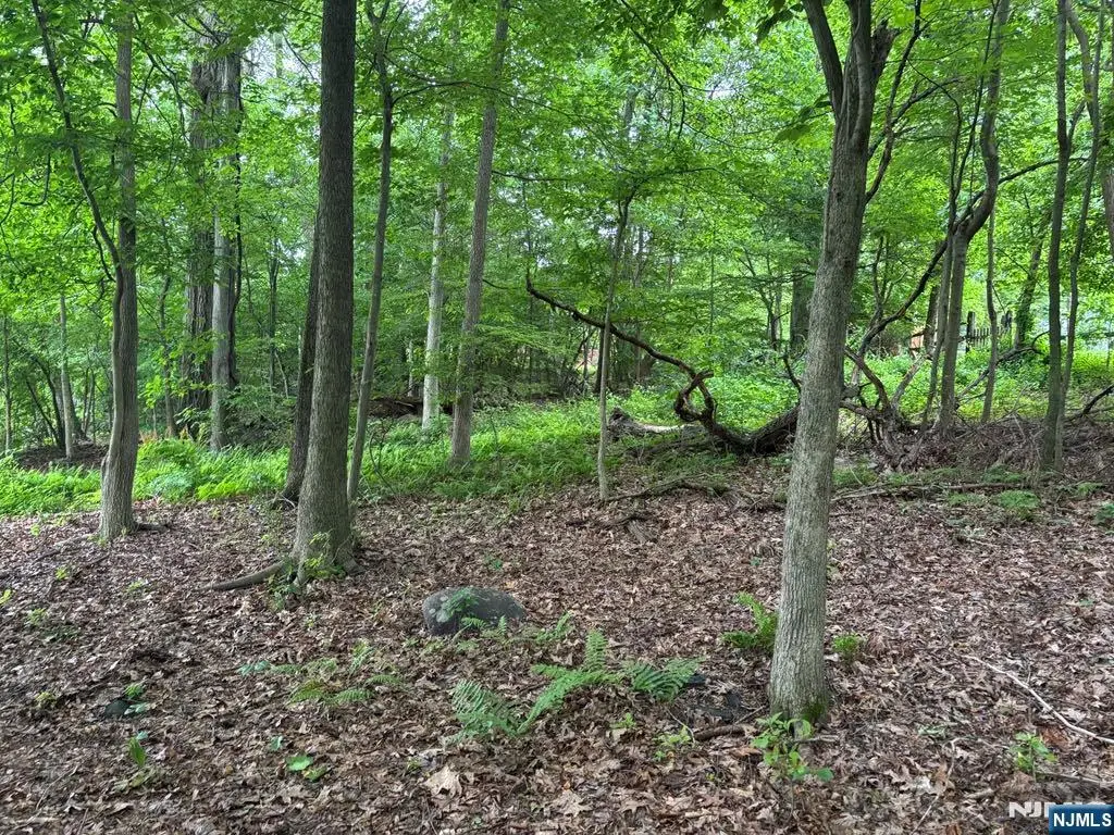 0 Oakwood, West Milford, NJ 07480 - Image #1