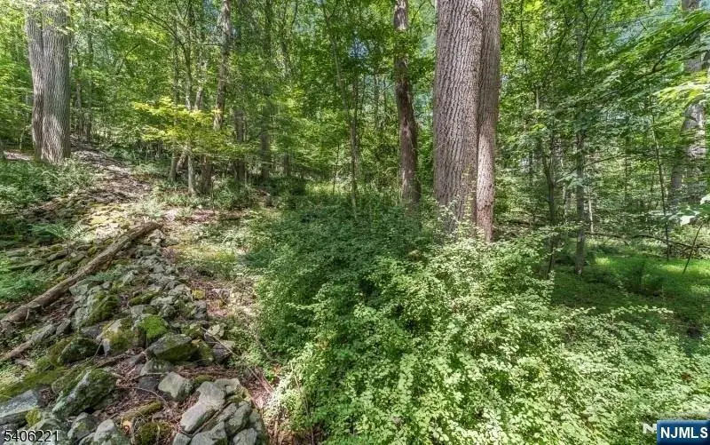 Sweet Hollow Road, Holland, NJ 08848 - #1