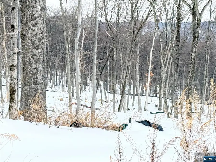 10 Bristol Ridge Road, Boonton, NJ 07005 - #2