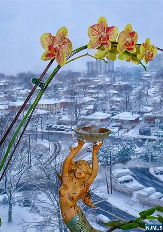 6 Horizon 1108, Fort Lee, NJ 07024 - #2