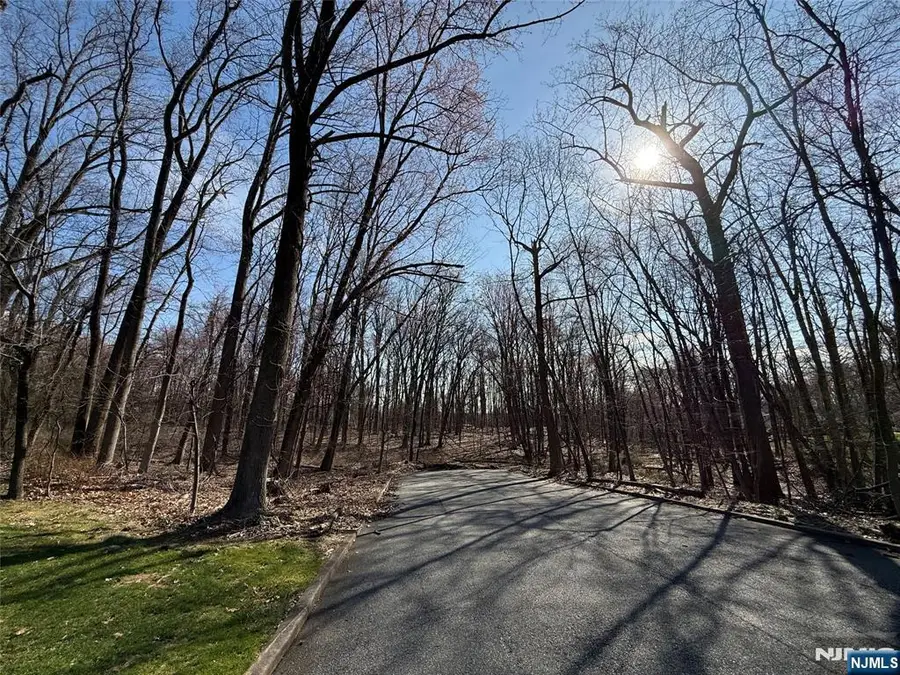 10 Deerfield Drive, Woodcliff Lake, NJ 07677 - #3