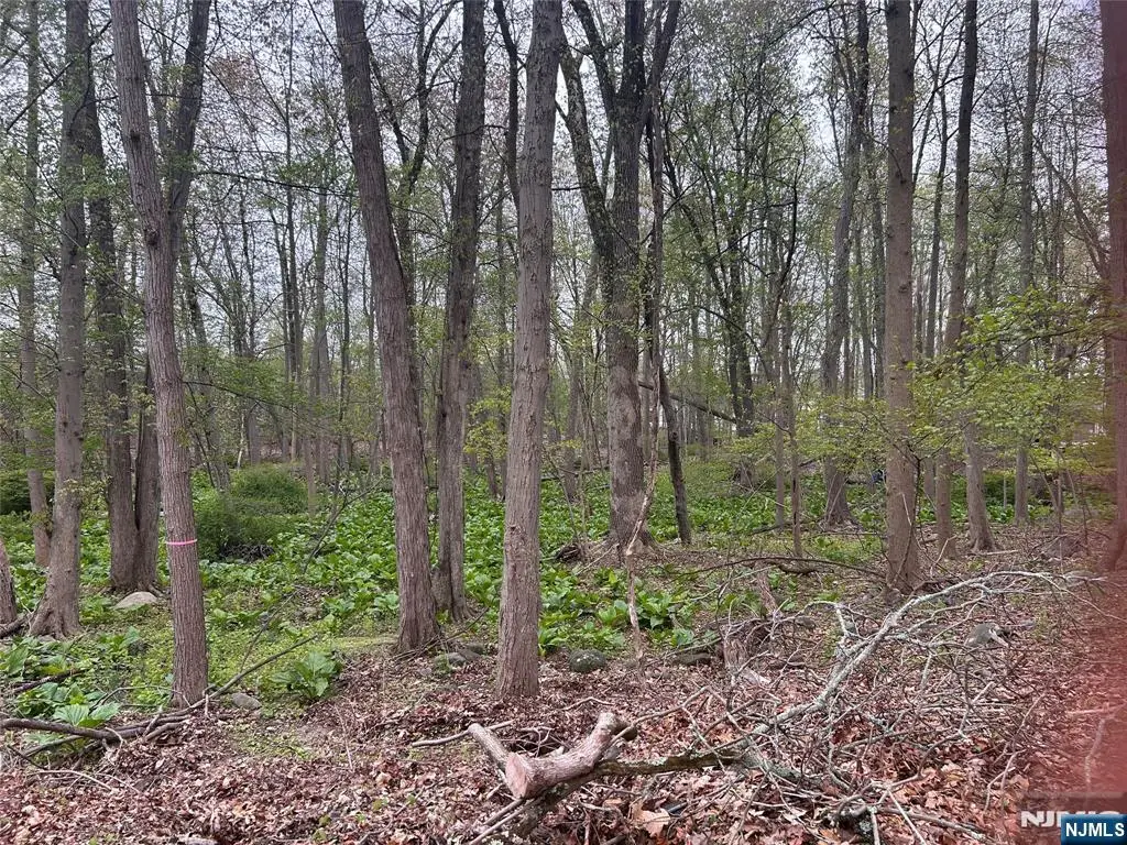 870 Circle Avenue, Franklin Lakes, NJ 07417 - #1