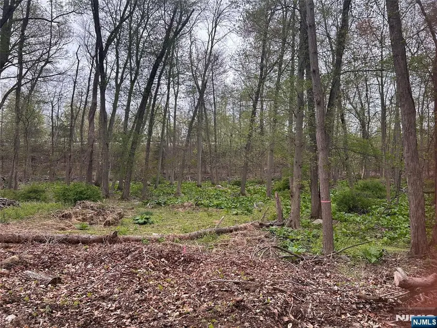 870 Circle Avenue, Franklin Lakes, NJ 07417 - #2