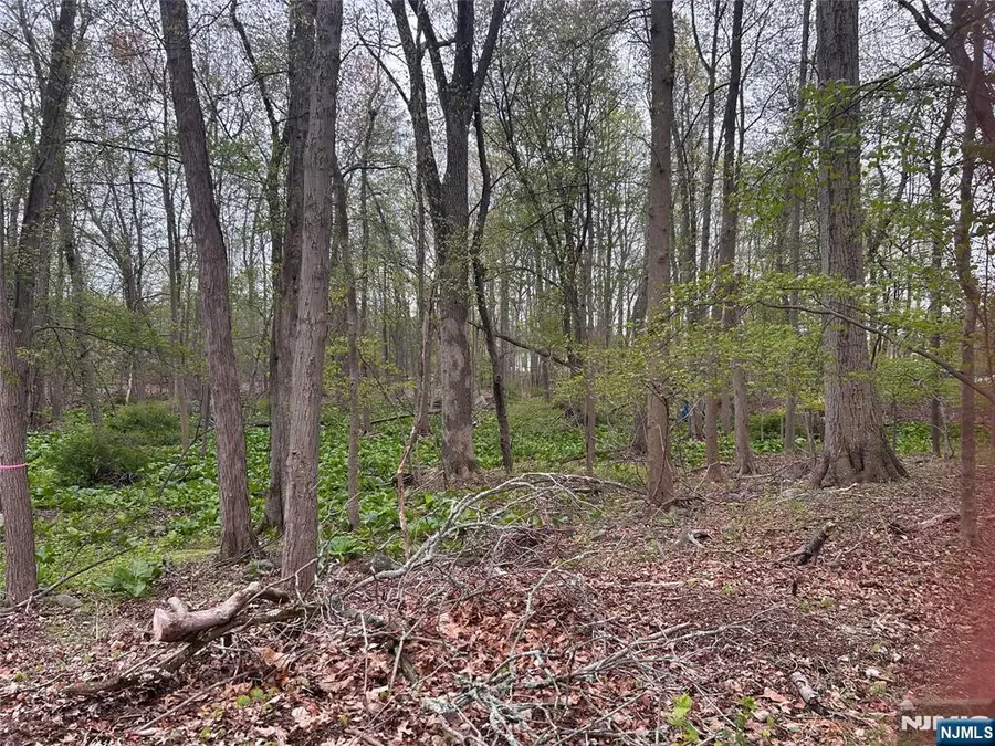 870 Circle Avenue, Franklin Lakes, NJ 07417 - #3