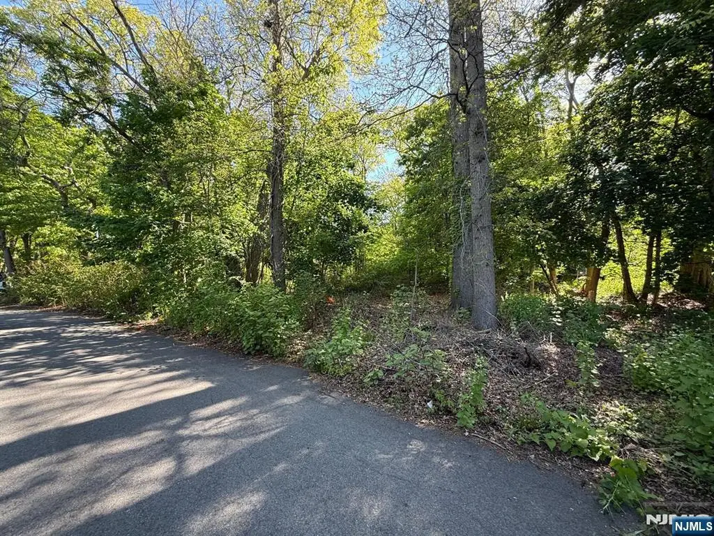 25 Budd Avenue, Budd Lake, NJ 07828 - #1