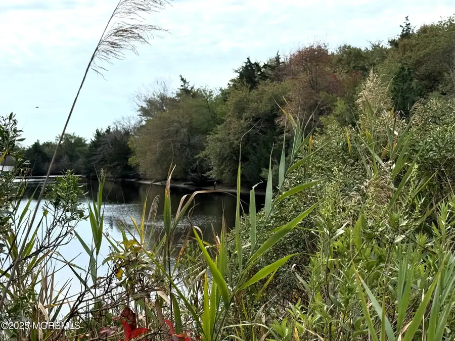 11 Persimmon Drive, Little Egg Harbor Township, NJ 08087 - Image #2