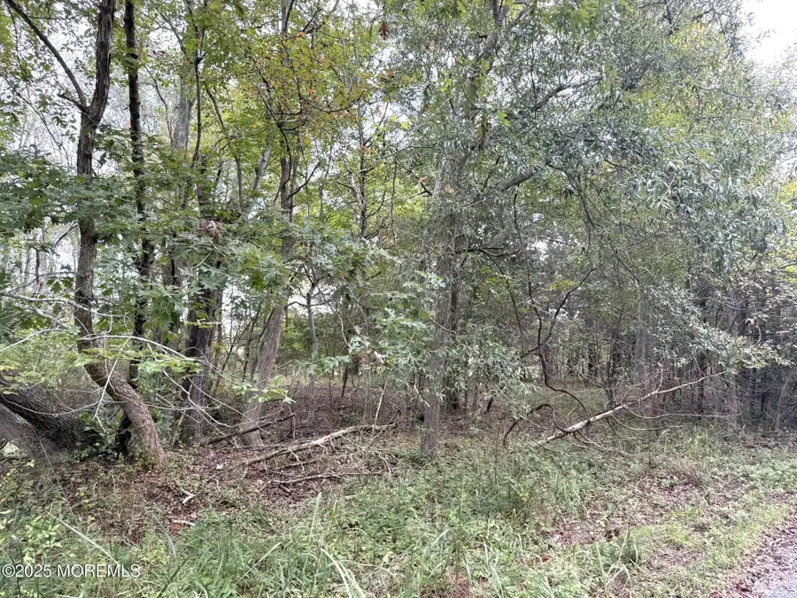 11 Persimmon Drive, Little Egg Harbor Township, NJ 08087 - Image #3