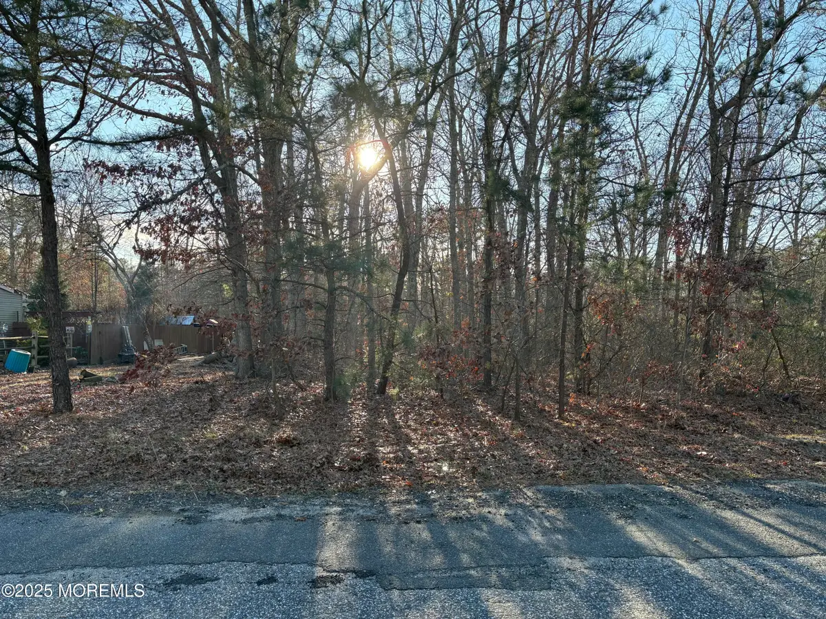 46 Harpoon Drive, Barnegat, NJ 08005 - #1