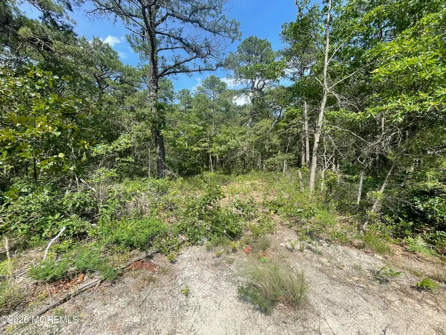 1463 Route 539, Little Egg Harbor Township, NJ 08087 - Image #3