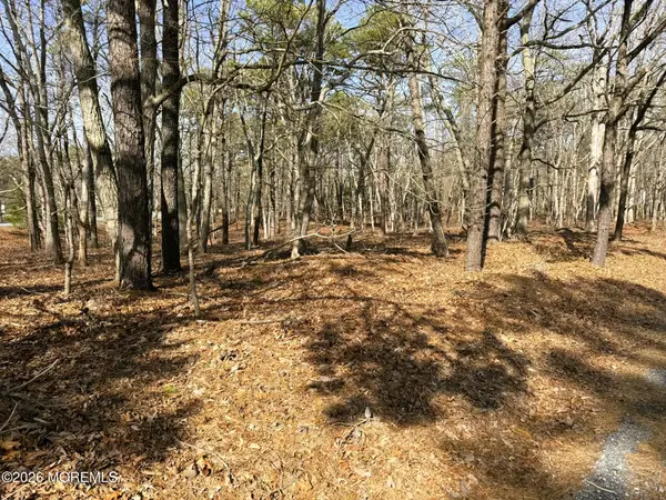 3 Pinewood Drive, Little Egg Harbor, NJ 08087