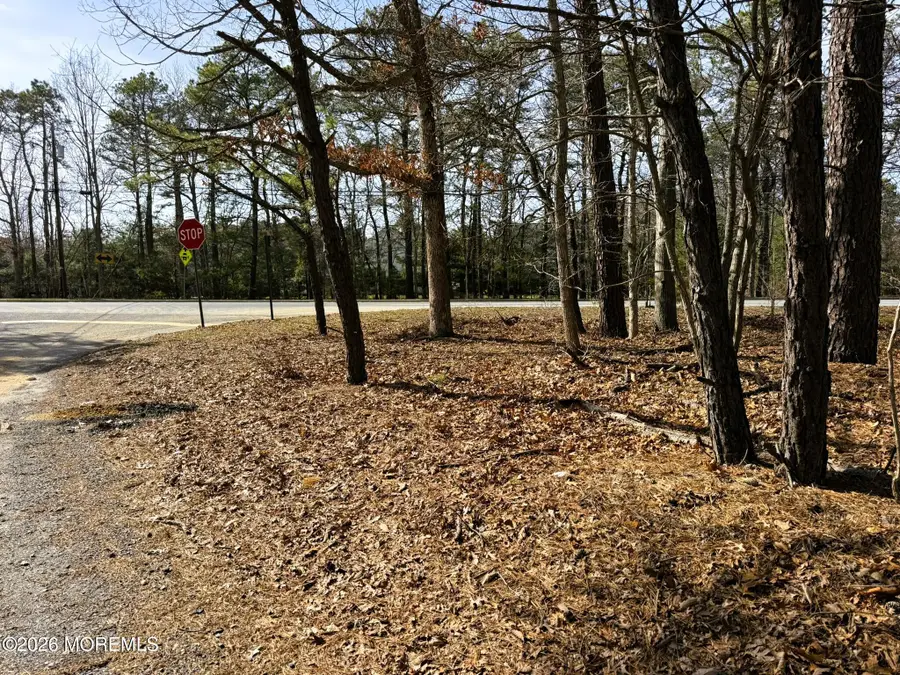 3 Pinewood Drive, Little Egg Harbor, NJ 08087 - #2