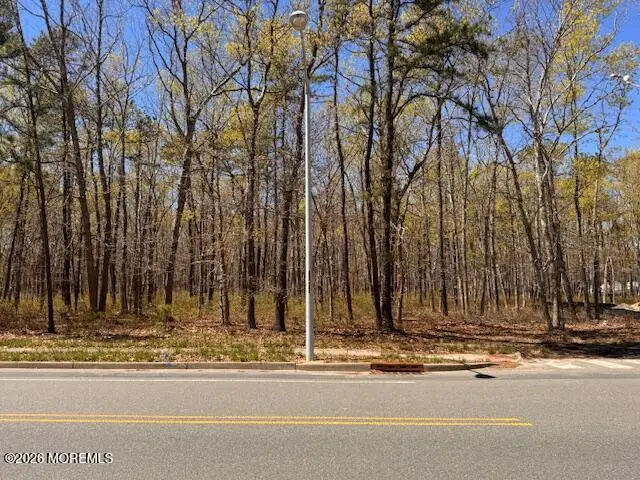 0 Newark Avenue, Forked River, NJ 08731 - #1