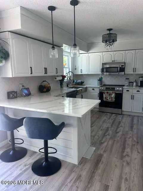 132 Topside Road, Manahawkin, NJ 08050 - #3