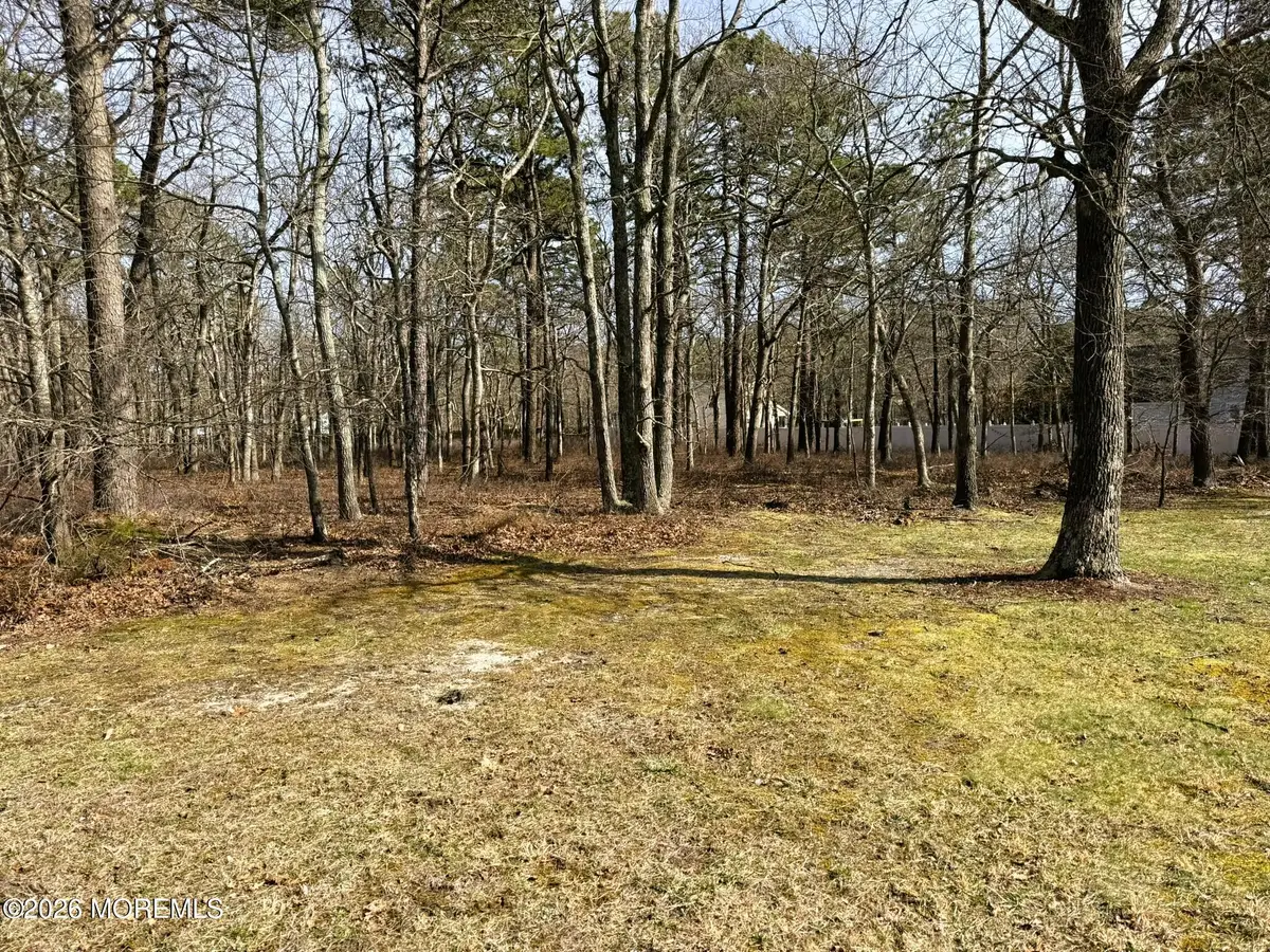 20 Pinewood Drive, Little Egg Harbor, NJ 08087 - #1