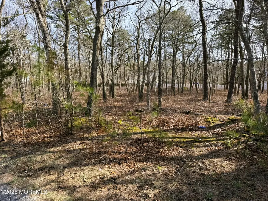20 Pinewood Drive, Little Egg Harbor, NJ 08087 - #2