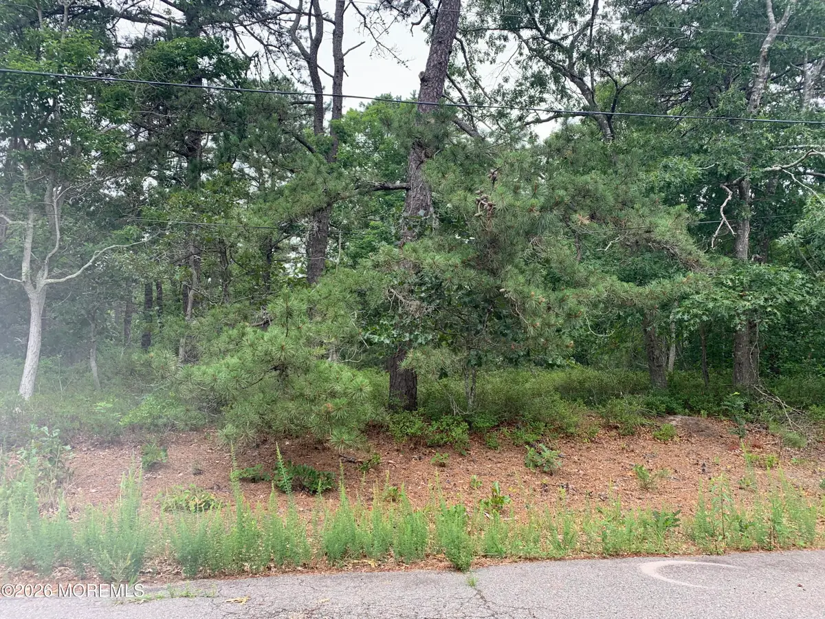 121 Cemetary Road, Eagleswood, NJ 08092 - #1