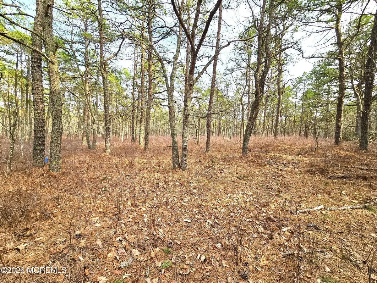 22 Pinewood Drive, Little Egg Harbor, NJ 08087 - #1