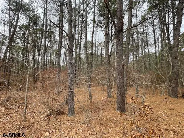 #2